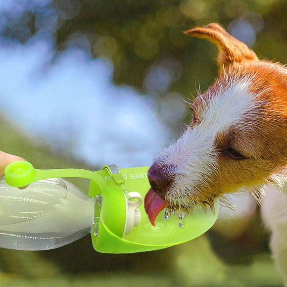 Ausklappbare Sport Outdoor Wasserflasche für Hunde